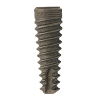 3,30 mm x 10 mm