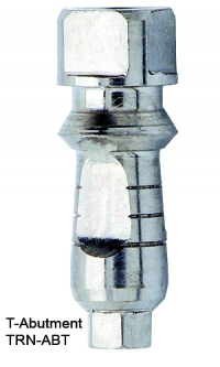 Transfer Abutment